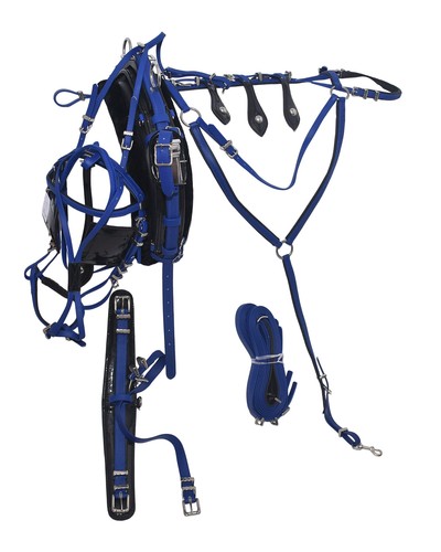Quick hitch pvc trotting - pvc,