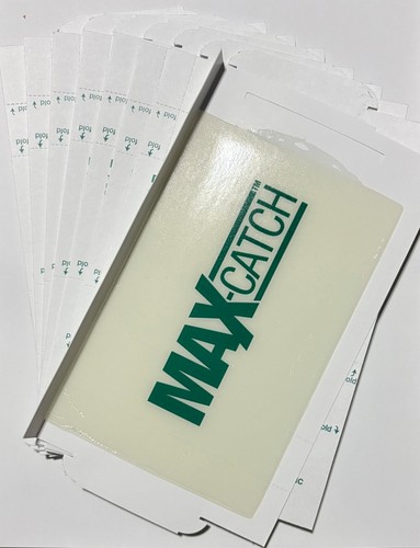 Maxcatch glue traps 72max pest - glue,