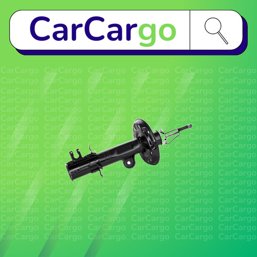 Front left shock absorber - front, fits