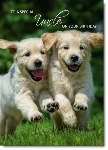 Doodlecards uncle birthday - doodlecards,