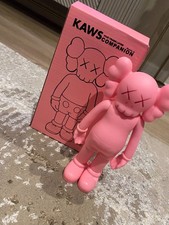 Kaws 5 years Later Companion -