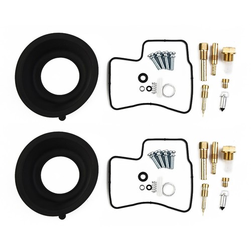 Carburetor rebuild repair kit - carburetor,
