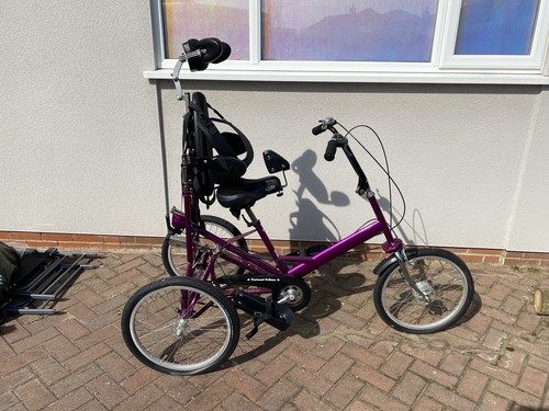 Tom cat trike special needs - tom,