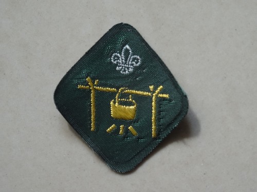 Scout proficiency badge - proficiency, camp