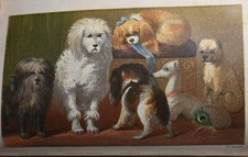 Beeton's BOOK OF HOME PETS