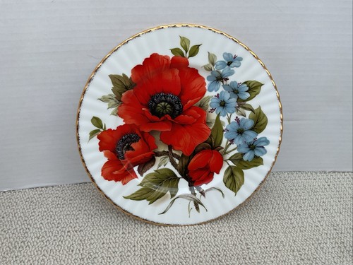 Fine bone china plate red - china,