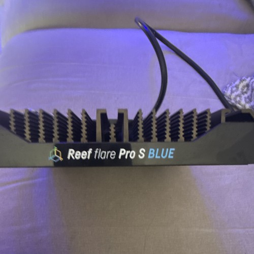 Reef flare pro - reef,