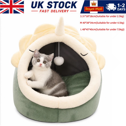 Pet cute cat - soft, house