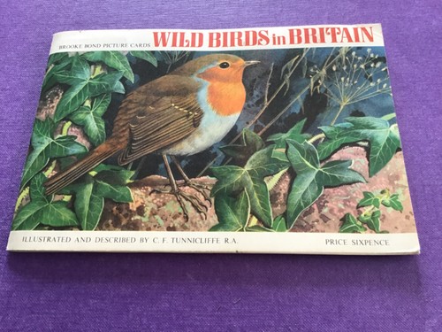 Wild birds britain full - birds,