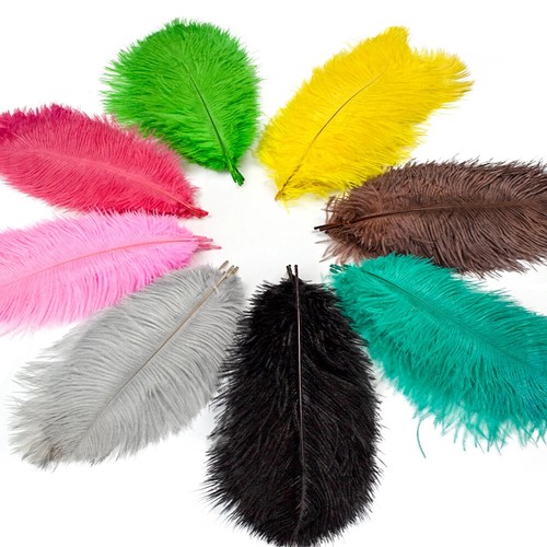 60cm farm colorful ostrich - farm,