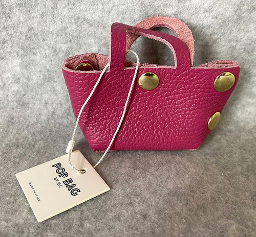 Nwt pop bag mini hot - mini,