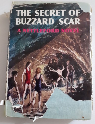 The secret buzzard - the,