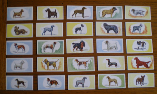 Set cadet sweets dogs - cadet,