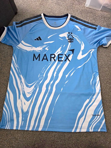 Nottingham forest third kit - forest,
