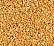 NIGERIAN YELLOW CLEAN STONE-FREE CORN FOR PAP (OGI, AKAMU) 2kg for £15 only
