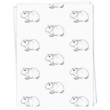 'Hairless Guinea Pig' Gift Wrap / Wrapping Paper / Gift Tags (GI030399)