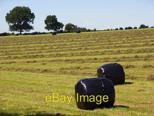 Photo 6x4 silage bales - 6x4,