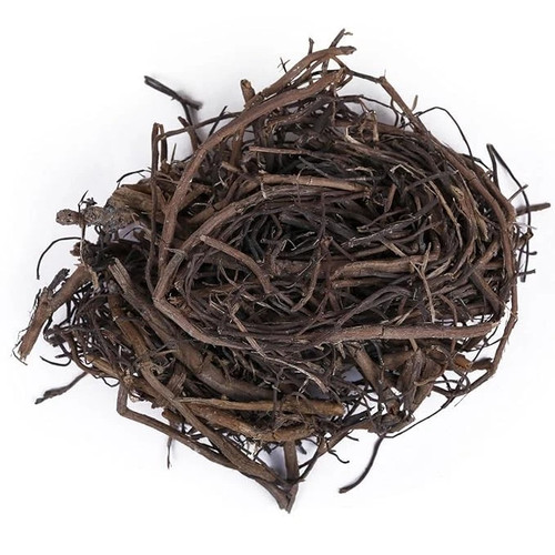 Bad dari ficus - bad,