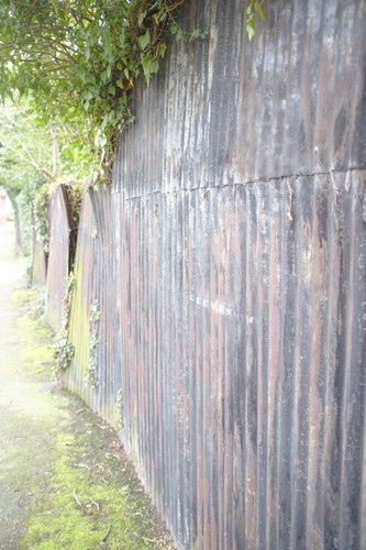 Photo 12x8 corrugated iron - corrugated,