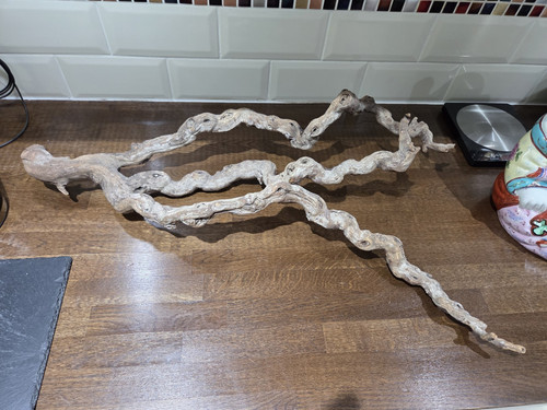 Vivarium terrarium vine - vine,, large