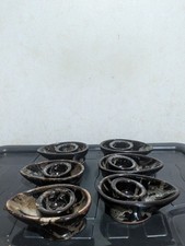 Six Vintage Ceramic Avocado