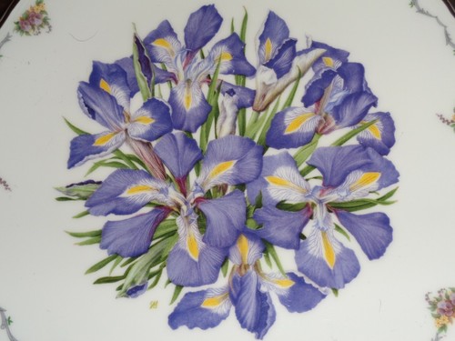 Royal albert limited - royal, edition