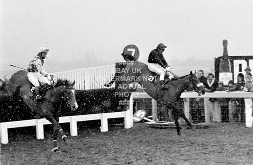 Alverton jonjo neill 1979 - alverton, o'neill