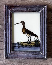 Indian Curlew Reverse Glass