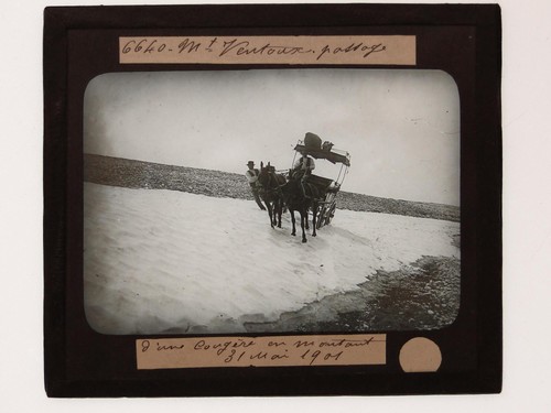 Horse drawn carriage snowdrift - horse,