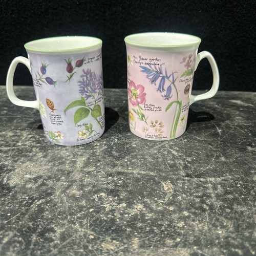 Rose england floral - rose,