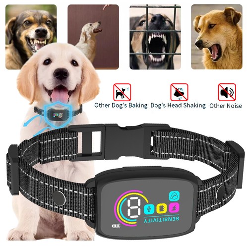 Dog pet training collar - pet,