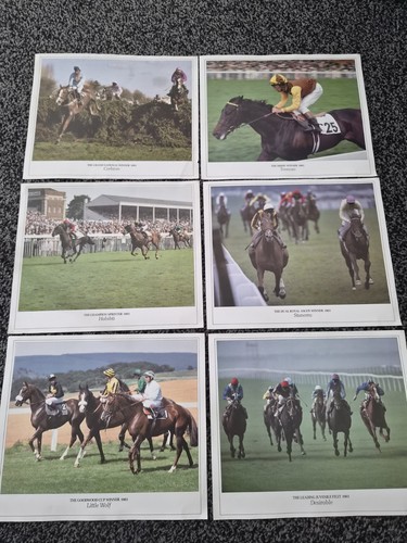 Horse racing photos - racing,