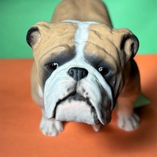 North Light England Bulldog