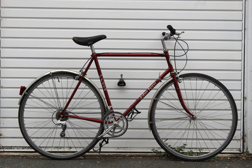 John fern vintage - fern, bike,