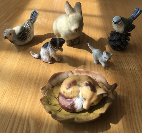 Collection small animal - collection,