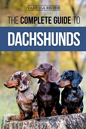 The complete guide - the,