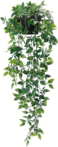 Fake hanging plants - hanging,