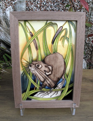 Moorcroft rspb water - moorcroft, vole
