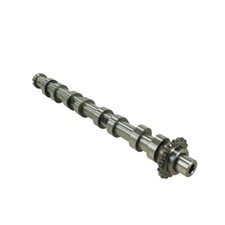 Camshaft Outlet for Citroen