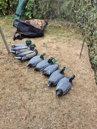 Wildfowling equipment hunting - wildfowling,
