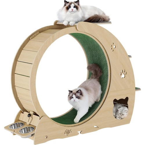Cat running wheel large - cat,