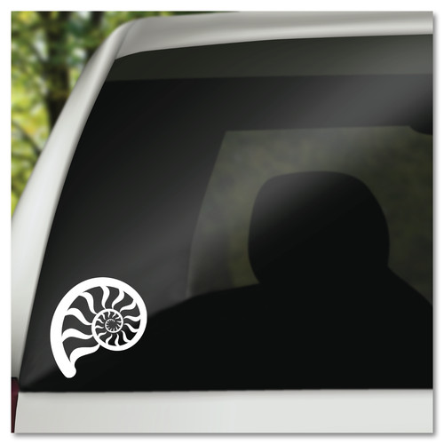 Nautilus shell nature - nautilus,