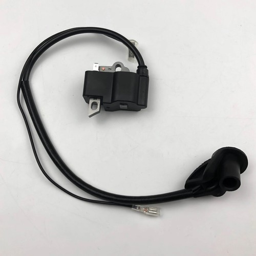 Ignition coil for - ignition,