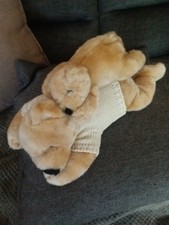 Sleeping Teddy Bear In Sweater