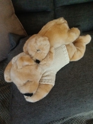 Sleeping teddy bear sweater - sleeping,