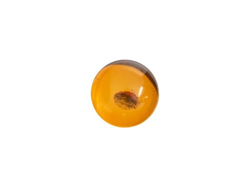Natural amber cabochons - natural,