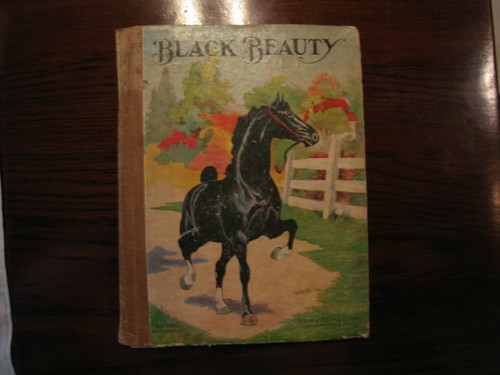 Black beauty the autobiography - black,