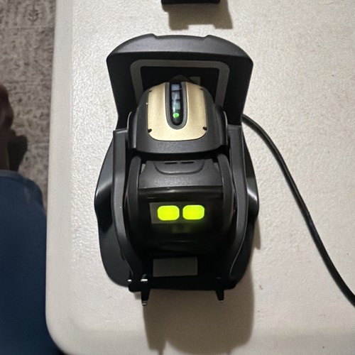 Anki vector robot - vector,