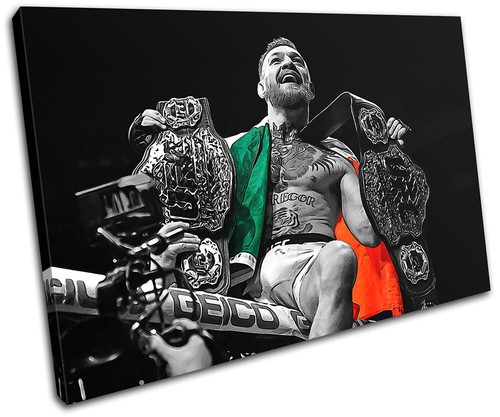 Conor mcgregor ufc pop art - ufc,