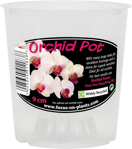 Cylindrical clear orchid pot - orchid,